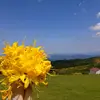 Meryem Alantepe - @meryem.alantepe - TikTok
