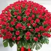ummuhan_alantepe - @ummuhan_alantepe - TikTok