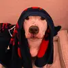 Alan Teran - @zeus0255 - TikTok