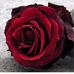 Alan Tarbosh - Facebook