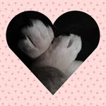 Ajay Arthur - @alan.tew.98 - Instagram