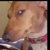 alan - @alanthagod - TikTok