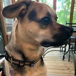 Alan Thagard - @thagardalan - Instagram