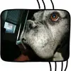 alanschultheiss - @alanschultheiss - TikTok