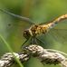 Alan Theobald - Facebook