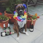 Alan Thiele - @alanthiele - Instagram