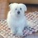 Alain Thiers - Facebook