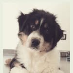 Thiesse Alan - @alanthiesse - Instagram
