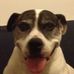 Alan Thoburn - Facebook