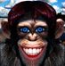 Alan Thoe - Facebook