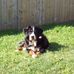 Alan Thorburne - Facebook