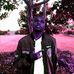 Allan Thrasher - Facebook