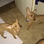 Alan Thurman - @thurmanalan - Instagram