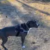 Alan Thurman - @alan.thurman5 - TikTok