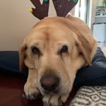 Alan Tickle - @alantickle50 - Instagram