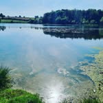 Alan Tierney - @naturepictures1992 - Instagram