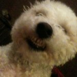 Mr Alan Till - @alantill - Instagram