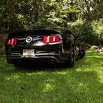 Alan Tillman - @t4tillman - Instagram