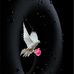 Alan Tim - Facebook