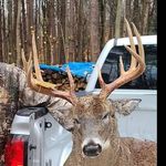 Alan Tim - @whitetail_elite - Instagram