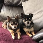 Alan Timms - @timms_alan - Instagram