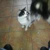alantinney905 - @alantinney905 - TikTok