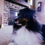 Toby Alan Brandt - @toby_alan_4 - Instagram