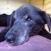 Alan Townley - Facebook
