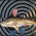 Alan Tracey - @inshore_warrior - Instagram