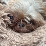 Alan Troutman - @alan.troutman - Instagram