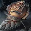 Alatudeen - @alatudeen - TikTok