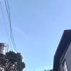 Alana Tumapang - @alana.tumapang - TikTok