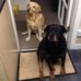Alan Tunstall - Facebook