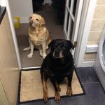 Alan Tunstall - @alanrabtunstall - Instagram