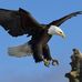 Alan Tupman - Facebook