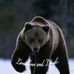 Alan Tweedy - Facebook