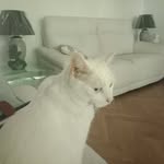 alan philip tye - @alanphiliptye - Instagram