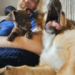 Alan Stuart - @alantyers7 - Instagram