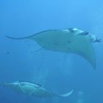 Alan Tyson - @tyson_alan - Instagram
