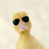 Alanduhl - @alanduhl - TikTok