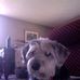 Dexter Alan Uhl - Facebook