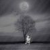 Alan Ung - Facebook