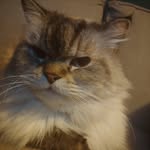 Alan Unsworth - @alan.unsworth.93 - Instagram