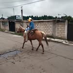 Alan Urbina - @urbinanm_ - Instagram