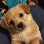 Alan Usher - @alan.usher.3939 - Instagram