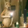 Alan Valencia - @alan.valencia17 - TikTok