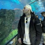 Alan Valenti - @valenti.alan - Instagram