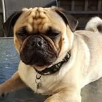 Alan Hill - @alanvalleyboy - Instagram