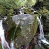 Allan valley - @allanvalley - TikTok