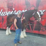 Alan Vanderslice - @alanvanderslice - Instagram